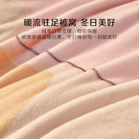 BLISS 百丽丝 水星百丽丝家纺牛奶绒防静电被套单件被罩宿舍家用床上用品