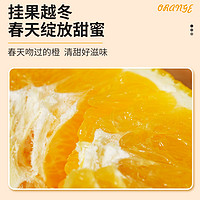 GREAT-SUN FOODS 宏辉果蔬 十八臻橙赣南脐橙江西橙子5斤水果当季新鲜现摘整箱现货
