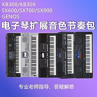 YAMAHA 雅马哈 电子琴SX600/700/900/KB309电子琴扩展音色节奏包 流行 dj