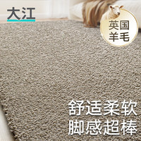 大江 DAJIANG 地毯客厅轻奢高级感沙发茶几毯羊毛床边毯免洗卧室地毯大面积 艾琳梦-浅栗咖 2㎡【下单联系客服】