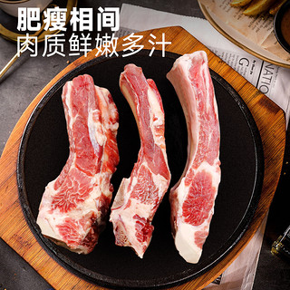 大黄鲜森 原切牛排骨新鲜冷冻带肉牛肋条烧烤食材牛肋排整条