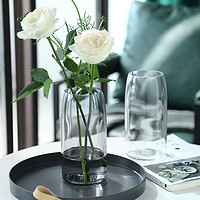 喜韶 轻奢网红玻璃花瓶透明客厅花器摆件装饰创意简约北欧水养玫瑰插花