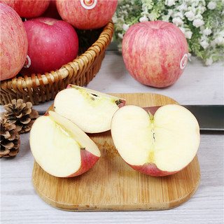 陕西洛川苹果4.7斤单果145-160g