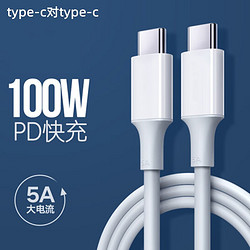 帕洛达 PD100W 双type-c 数据线 1.5m