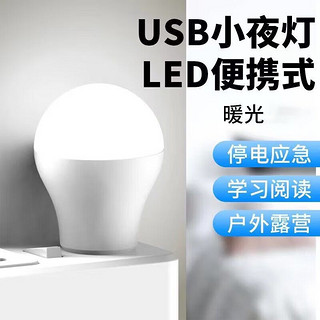 datouren 大头人 LED灯小夜灯usb灯笔记本电脑键盘随身节能灯护眼钓鱼灯迷你 USB灯泡-暖光