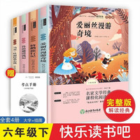 六年级下册快乐读书吧(全4册)马克吐温经典小说+鲁滨逊漂流记+爱丽丝漫游仙境+骑鹅旅行记