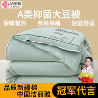 洁丽雅抗菌A类子母被二合一春秋被大豆纤维被冬被加厚保暖棉被芯 竹青绿 子母被180*220cm/(3.4斤+6.6斤)