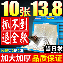 绿威 粘鼠板强力胶水粘大老鼠捉抓灭捕超加厚加大驱沾鼠神器家用一窝端