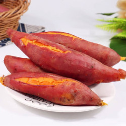地瓜皇后 沙地红薯约150g-400g软糯香甜3斤-5斤装香甜细腻