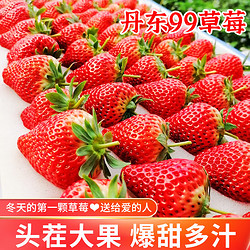 甜艾妮 丹东99红颜牛奶草莓  三斤 草莓（实惠装） 小果25克以下