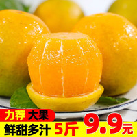 果果牛 湖南麻阳冰糖橙 高山手剥甜橙子新鲜脐水果夏多汁 可选 5斤超值装(净果约4.5斤)