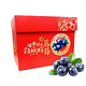 Mr.Seafood 京鲜生 云南蓝莓 12盒礼盒装 约125g/盒
