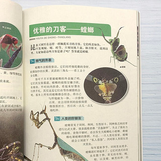 世界昆虫百科全书幼儿绘本小课外阅读书籍一二三年级阅读