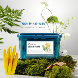 YANXUAN 网易严选 香氛浓缩洗衣凝珠 375g 旷野之息