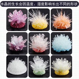 拥抱熊 圣诞魔法树种植科学实验套装趣味亲子交流化学实验结晶 魔法圣诞树一棵 颜色随机