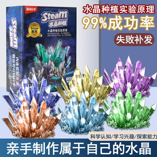 拥抱熊 圣诞魔法树种植科学实验套装趣味亲子交流化学实验结晶 魔法圣诞树一棵 颜色随机