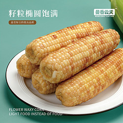 傣王稻 版纳香糯小玉米 1.5kg以上8-10根1袋