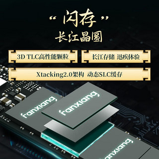 梵想SSD固态硬盘 M.2接口PCIe 4.0 x4 长江存储晶圆 国产颗粒 PR 梵想 S500PRO 512G