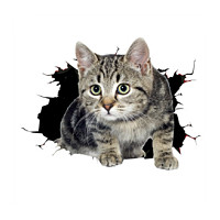 创意个性3D立体小猫汽车贴纸 可爱搞怪猫咪遮挡车身车尾划痕刮痕 3D猫贴12*9厘米单张
