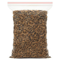 陈一凡 金骏眉红茶 蜜香型茶叶高山原产红茶袋装250g