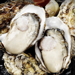 乳山牡蛎鲜活乳山生蚝4xl号净重25kg815只
