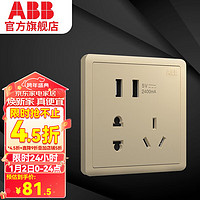 ABB 远致系列 金色五孔带双USB