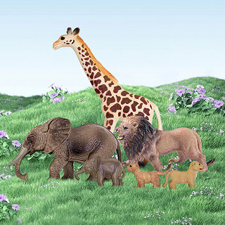 Wenno 动物仿真模型长颈鹿儿童认知玩具男孩女孩恐龙农场海洋生物