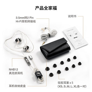 Questyle  Audio Engineering旷世之声NHB15/12有线HiFi真无损耳机专业入耳式监听高保真发烧便携解码耳放一体耳机 NHB15（TYPE-C接口） Type-C