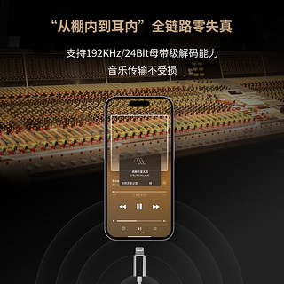 Questyle  Audio Engineering旷世之声NHB15/12有线HiFi真无损耳机专业入耳式监听高保真发烧便携解码耳放一体耳机 NHB15（TYPE-C接口） Type-C