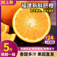 南洋姐妹 新品 好吃脐橙子 时令生鲜水果礼盒整箱    9斤精选特大果装