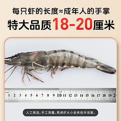 仁豪水产 活冻黑虎虾 净重1kg 21-25只/盒 单只单冻 烧烤大虾 23年新货