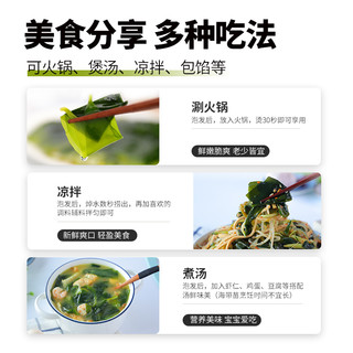 溢源霞浦海带苗嫩非特级非干货新鲜海带芽盐渍嫩苗凉拌菜火锅商用 1500g 2500g 包装