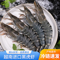 奇筝黑虎虾超大特大号老虎虾鲜活速冻海虾新鲜斑节虾九节虾海鲜水产 黑虎虾(12头)800g*2盒16-17cm 1.6kg