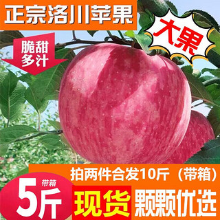 洛川苹果陕西延安红富士时令苹果水果生鲜新鲜整箱脆甜整箱好吃 5斤铂金果80-85mm（净重4.5斤）