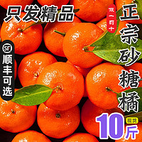 广西砂糖橘金秋沙糖桔新鲜10斤水果当季整箱蜜桔超甜橘子柑橘