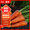 惠寻京东自有品牌 地理标志 胡萝卜5斤 新鲜蔬菜 时令现挖  