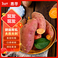 惠寻 京东自有品牌 龙九红薯带箱5斤 蜜薯 新鲜现挖 农家地瓜