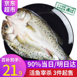 FingersFresh 弹指鲜生 三去海鲈鱼/河鲈鱼随机 400-450g/条 冷冻开背净鱼