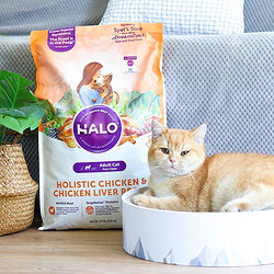 HALO 自然光环 猫粮自然光环旗舰店官方正品成幼猫营养试吃全价成年猫粮10磅