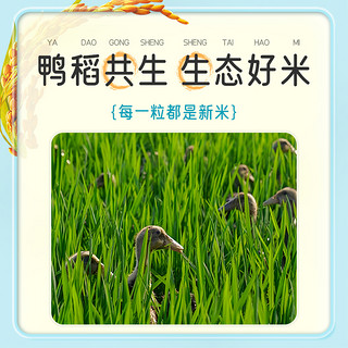 88VIP：GUMIJI 谷米集 生态鸭稻东北大米500g×10袋圆粒米2023年当季新米香气四溢