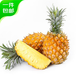 新鲜菠萝 净重3.5-4斤 单果700g+ 源头直发