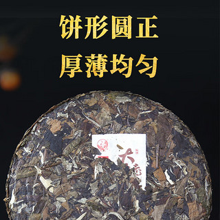 下关沱茶 茶叶 白茶月光白 大树老白茶铁饼 300g/饼 礼盒