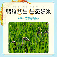 GUMIJI 谷米集 生态鸭稻东北大米500g×10袋圆粒米当季新米香气四溢