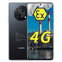 华为（HUAWEI） 畅享50 Pro 防爆手机本安EX化工厂石油天然气医药工业5000mAh大电池 防爆版（带证书） 8GB+256GB 黑色