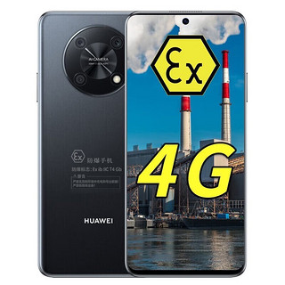 华为（HUAWEI） 畅享50 Pro 防爆手机本安EX化工厂石油天然气医药工业5000mAh大电池 防爆版（带证书） 8GB+256GB 黑色