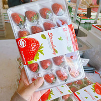 甜艾妮 新鲜丹东九九牛奶草莓   小果 1盒（每盒24枚）