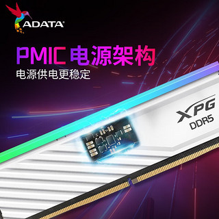 威刚(ADATA)XPG龙耀D300G DDR5内存16G 32G灯条电竞频RGB套条海力士A代颗粒 16G 白色 6000频率 C36