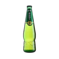 TSINGTAO 青岛啤酒 逸品纯生 啤酒