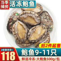 首鲜道冷冻大鲍鱼鲜活速冻 500g超新鲜生鲜 贝类海鲜水产 超大冻鲍鱼9-11头