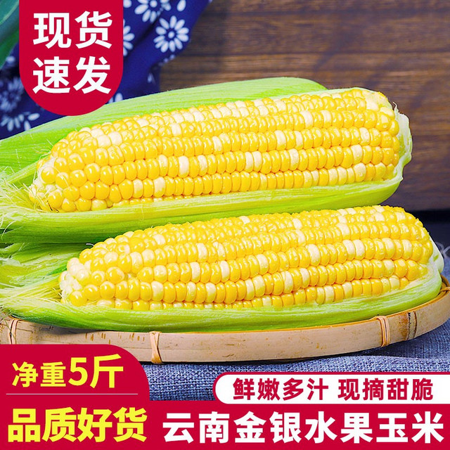 中鲜生 云南水果玉米 可生吃火锅食材 5斤 约5-8根